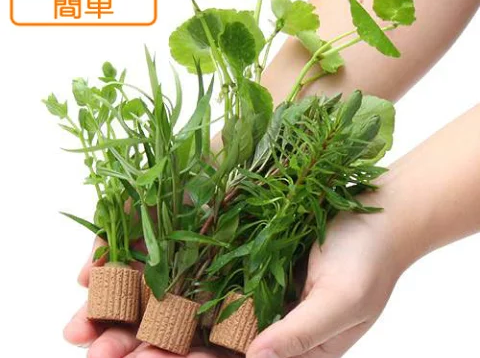 置くだけ簡単　ライフマルチ（茶）