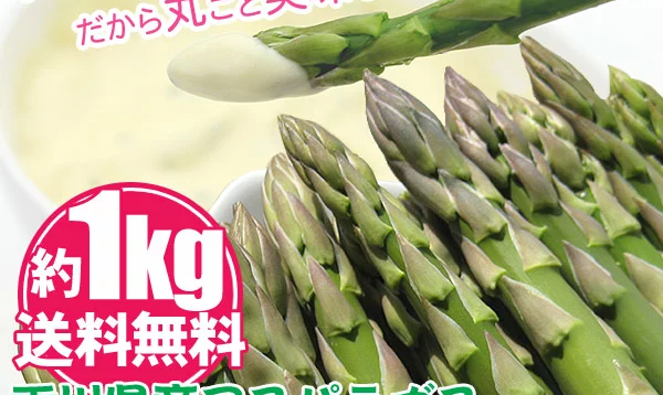 グリーンアスパラガス「さぬきのめざめ」