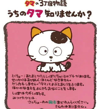 タマの3丁目物語 うちのタマ知りませんか？